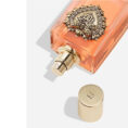 dolce-and-gabbana-devotion-edp-bottle-styled-with-candied-citrus-and-golden-vanilla-luxury-designer-scent-in-nigeria