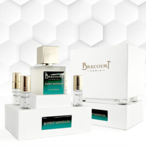 brecourt-paris-esprit-mondain-by-brecourt-paris-with-lemon-lavender-and-myrrh-notes-elegant-fresh-scent-in-nigeria