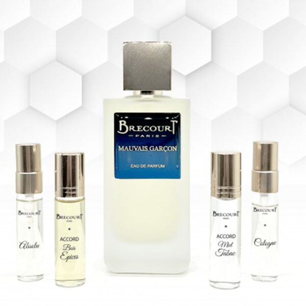 brecourt-paris-mauvais-garçon-with-spices-basil-and-leather-notes-bold-masculine-scent-in-nigeria