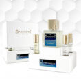 brecourt-paris-mauvais-garçon-in-a-pack-is-infused-with-spices-basil-and-leather-notes-bold-masculine-scent-in-nigeria