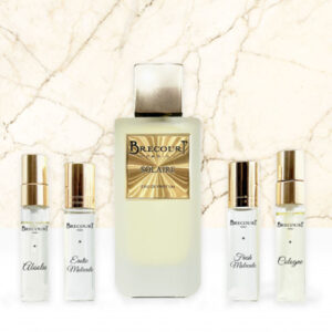 brecourt-paris-solaire-perfume-with-citrus-mimosa-flowers-and-sunny-light-flares-bright-daytime-fragrance-in-nigeria